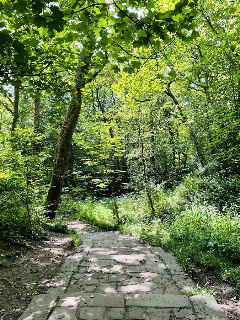 Astley Woodland Walk