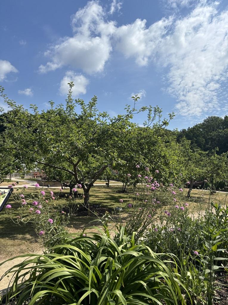 Walled Garden Orchard