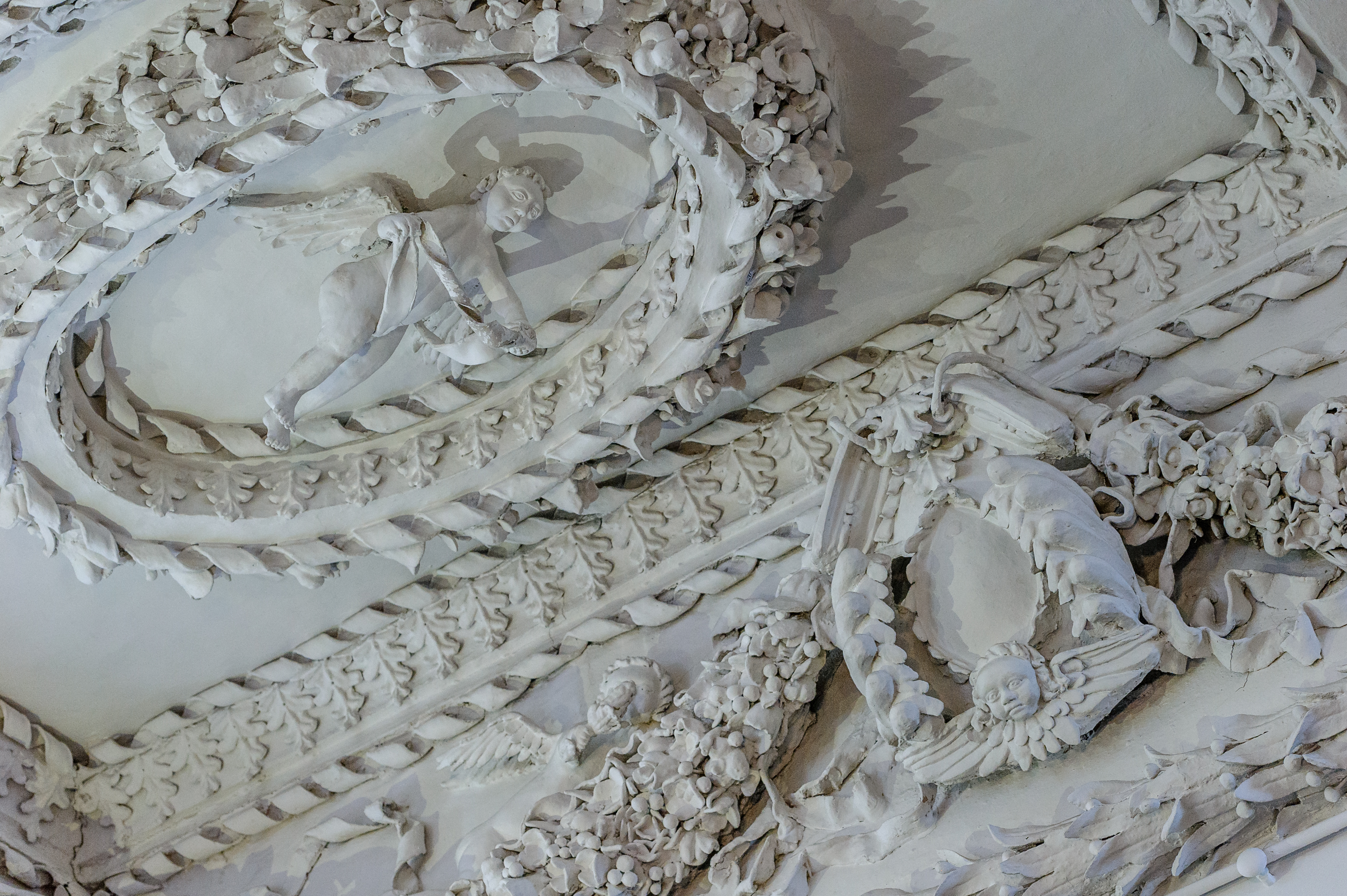 Ornate plaster ceilings