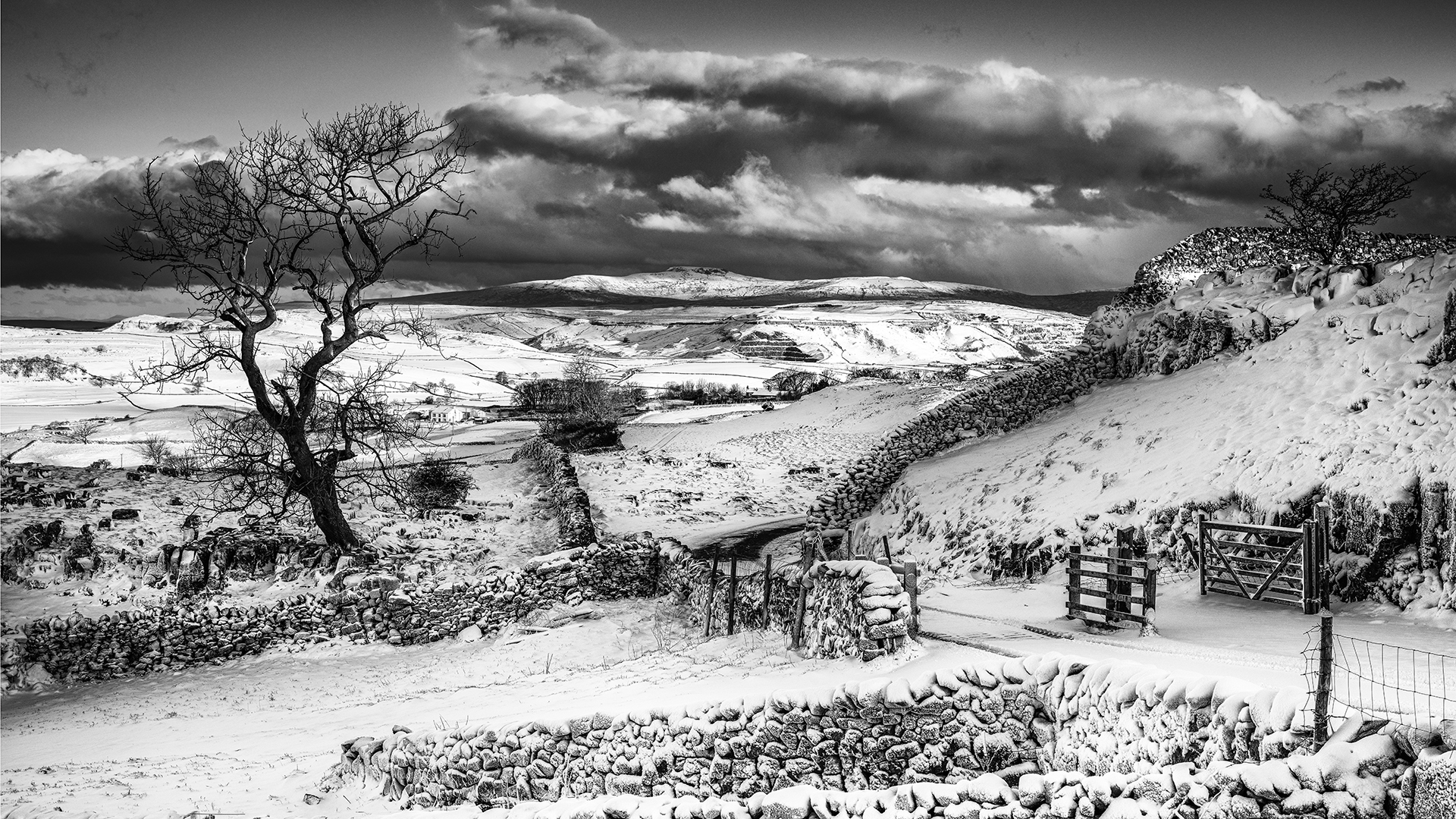 Winskill Snow