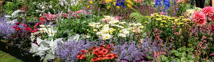 Flower show snippet