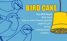Bird cake activity