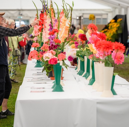 Chorley Flower Show competition marquee
